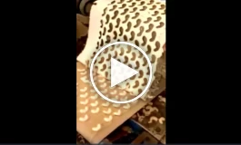 کلاهبرداری هوش پران آجیل فروشی ها با فروش بادام هندی تقلبی به اسم بادوم اصل+ویدئو